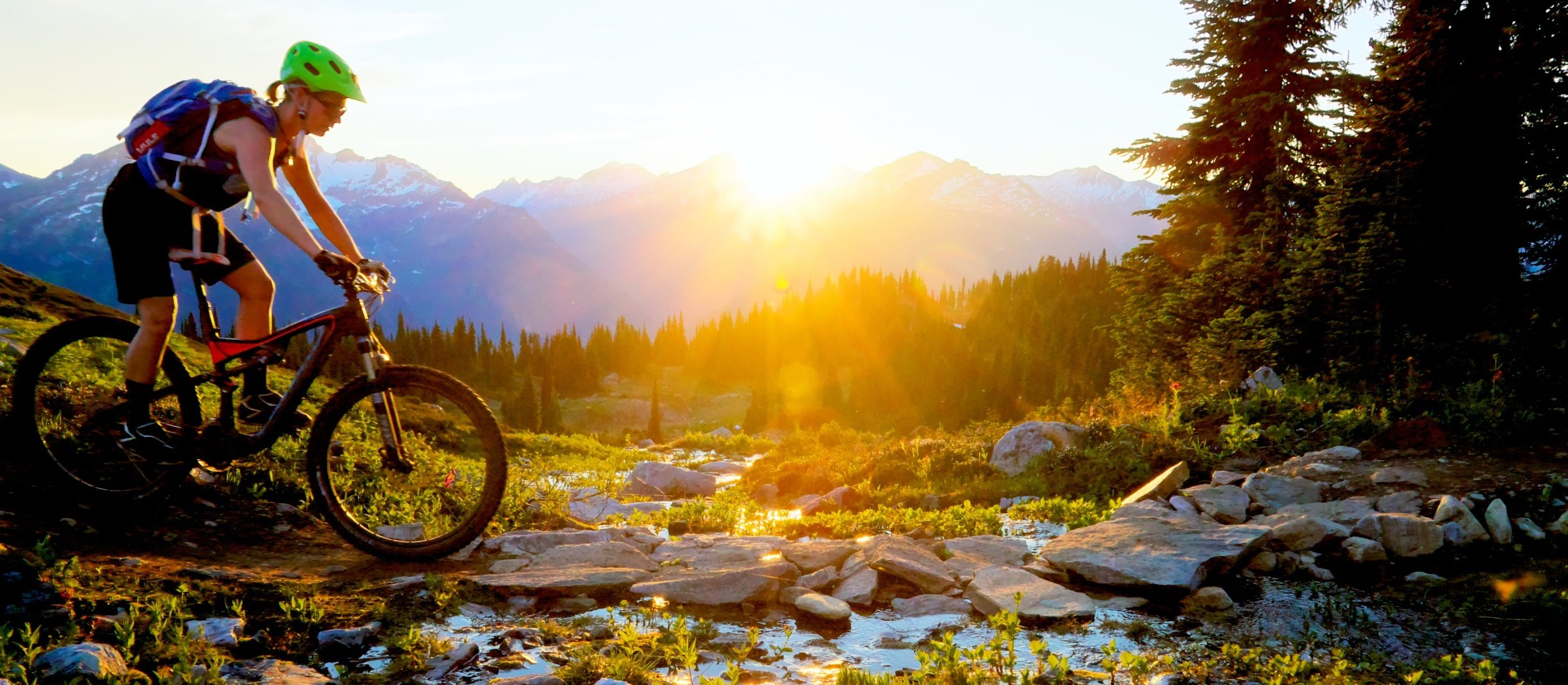 forest mountain biking