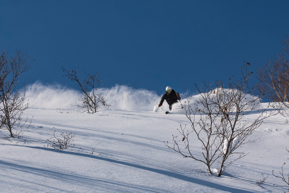 Clark Winter from the Heli team skiing down a run in Japan