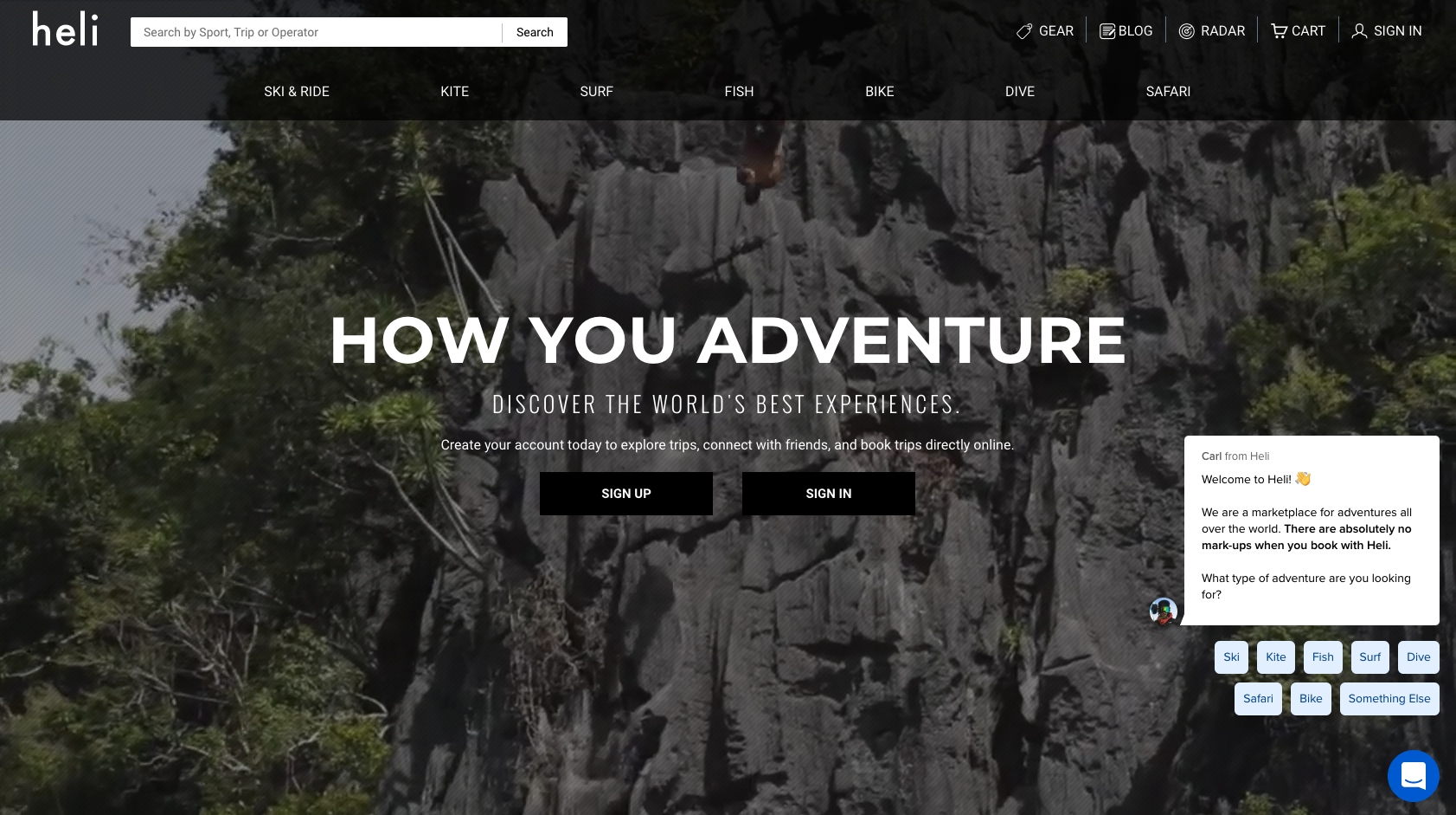 Website showing online chat bot for adventure tour sales