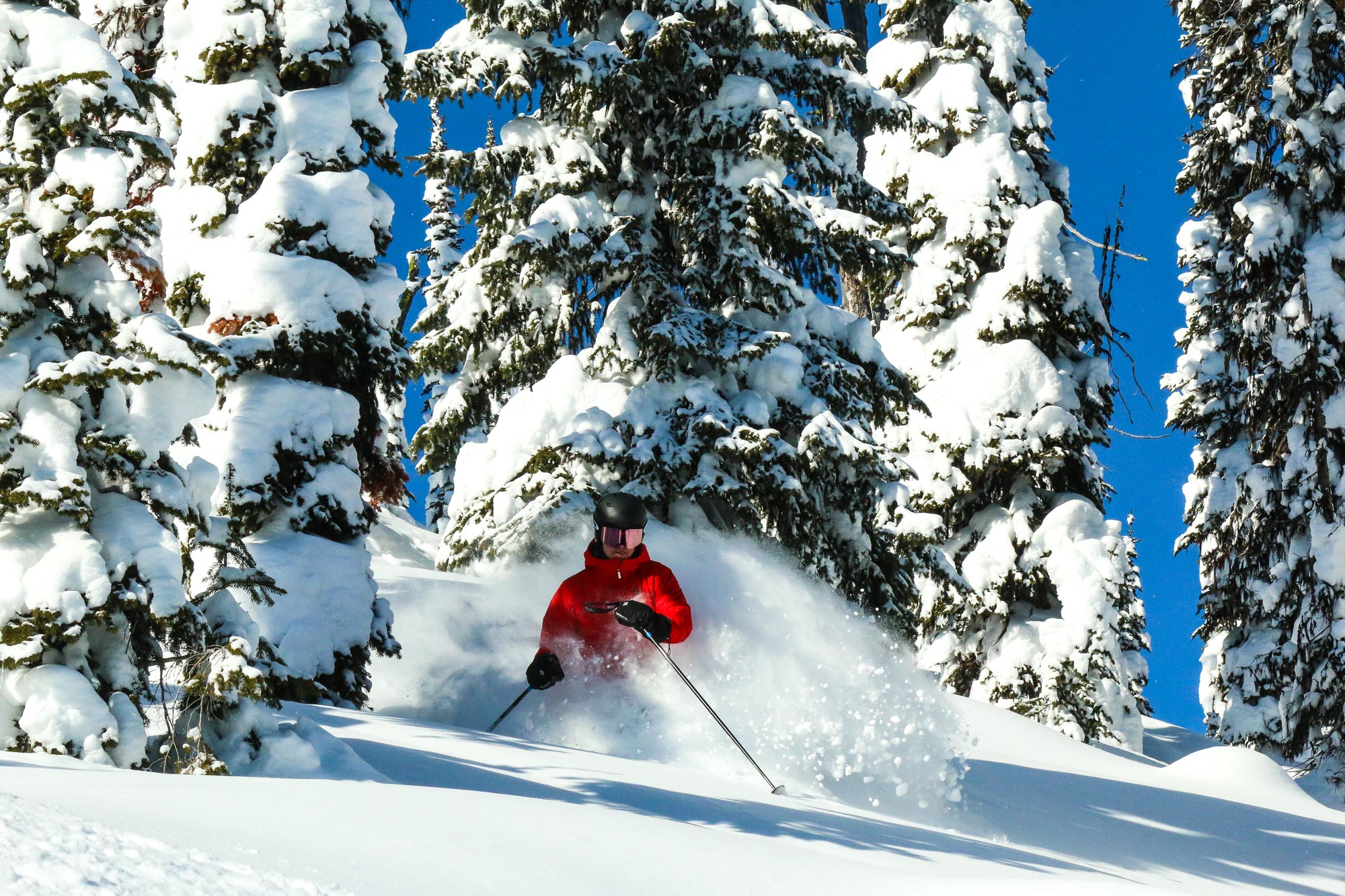 The best skiing in Montana - The Heli Blog