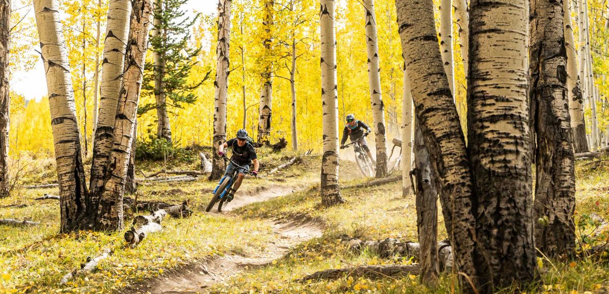 Mountain bikers riding through yellow fall foliage